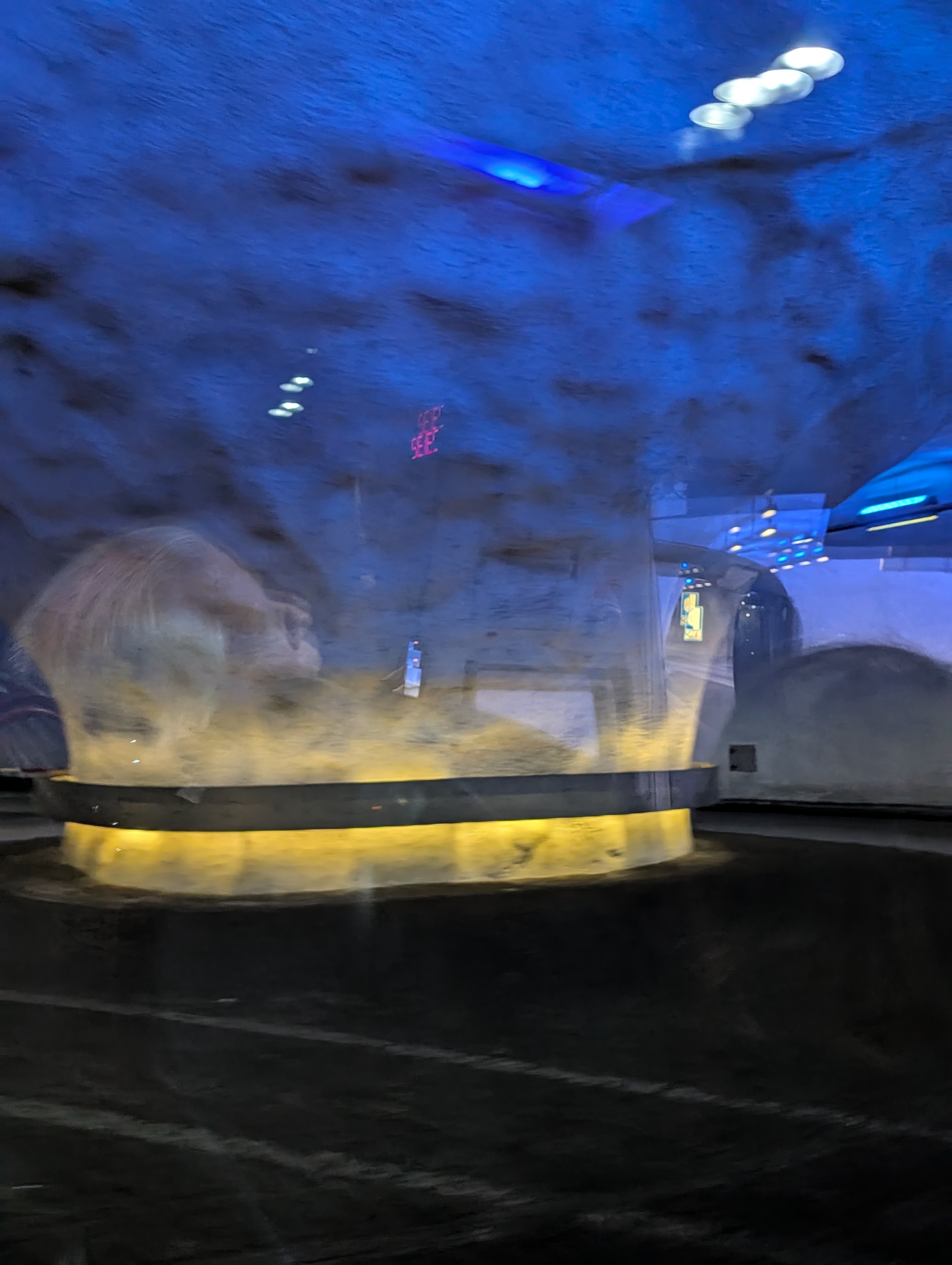 pxl_20260706_061711797